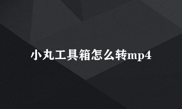 小丸工具箱怎么转mp4