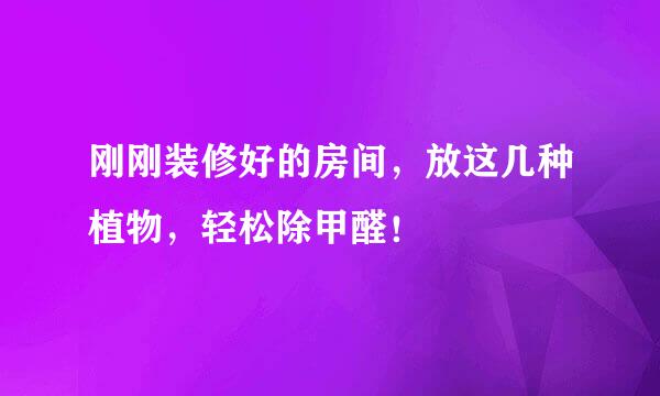 刚刚装修好的房间，放这几种植物，轻松除甲醛！
