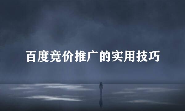 百度竞价推广的实用技巧
