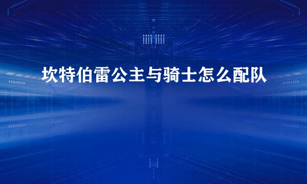 坎特伯雷公主与骑士怎么配队