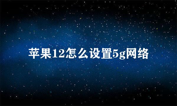 苹果12怎么设置5g网络
