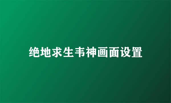 绝地求生韦神画面设置