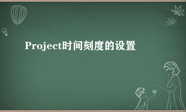 Project时间刻度的设置