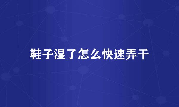 鞋子湿了怎么快速弄干
