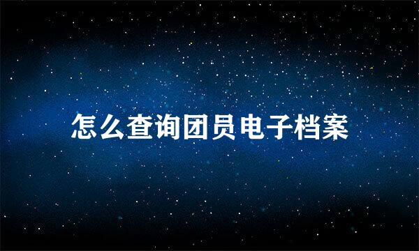 怎么查询团员电子档案