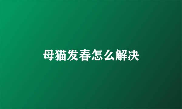 母猫发春怎么解决