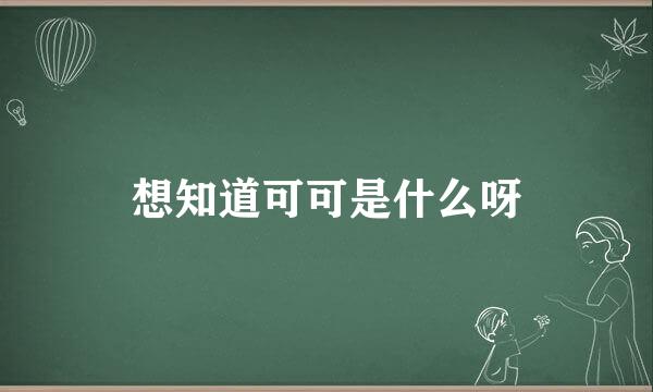 想知道可可是什么呀