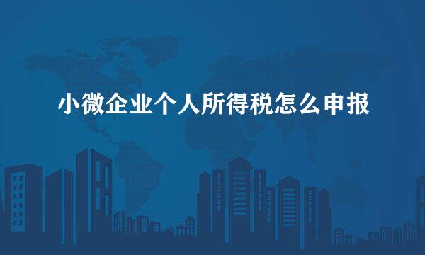 小微企业个人所得税怎么申报