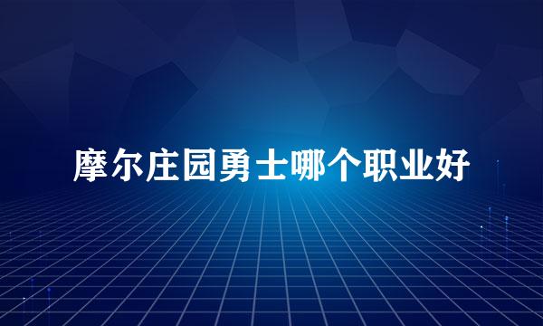 摩尔庄园勇士哪个职业好