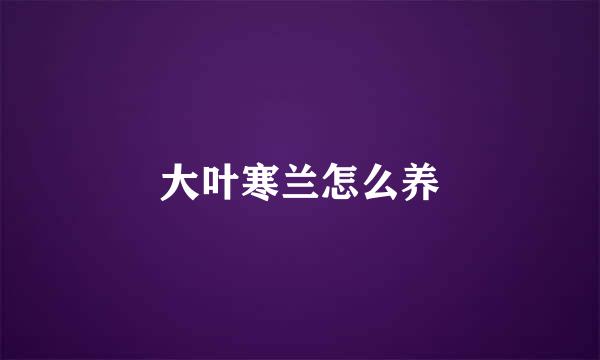 大叶寒兰怎么养