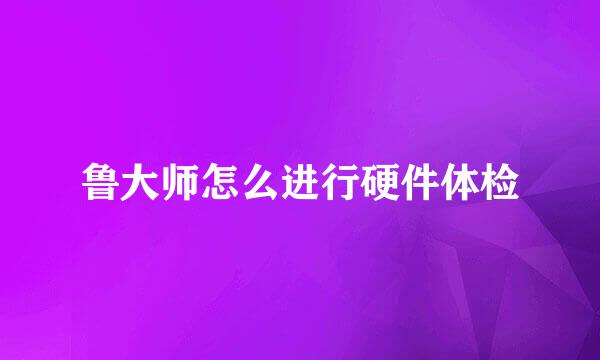 鲁大师怎么进行硬件体检