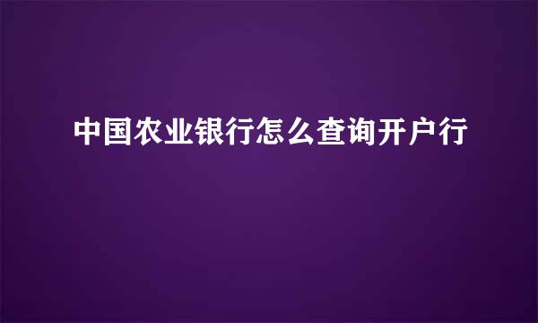 中国农业银行怎么查询开户行