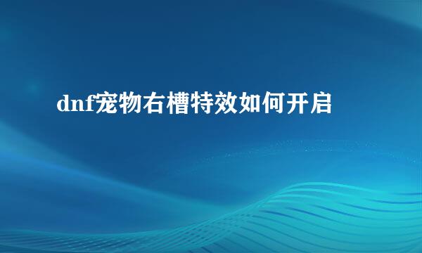 dnf宠物右槽特效如何开启