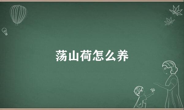 荡山荷怎么养