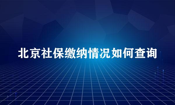 北京社保缴纳情况如何查询