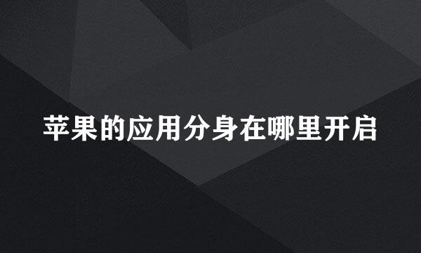 苹果的应用分身在哪里开启