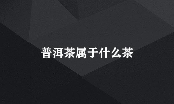 普洱茶属于什么茶