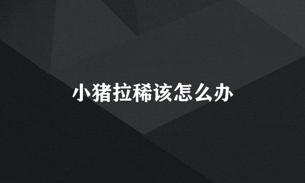 小猪拉稀该怎么办