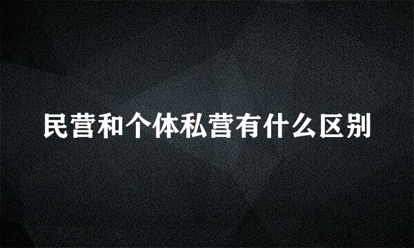 民营和个体私营有什么区别