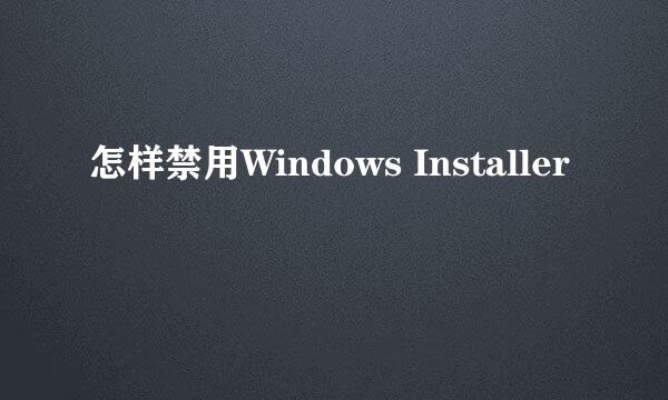 怎样禁用Windows Installer