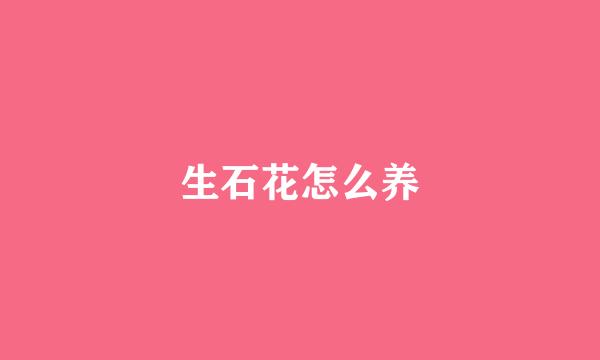 生石花怎么养