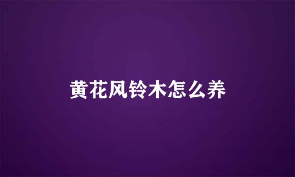 黄花风铃木怎么养