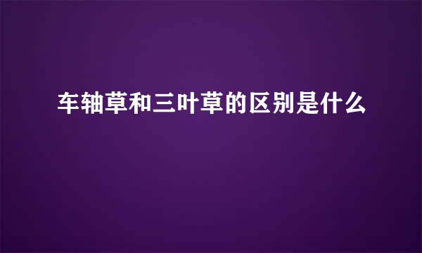 车轴草和三叶草的区别是什么
