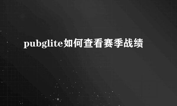 pubglite如何查看赛季战绩