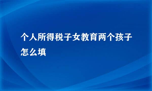 个人所得税子女教育两个孩子怎么填