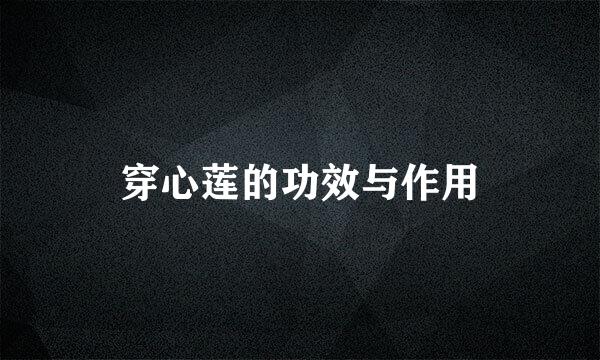 穿心莲的功效与作用