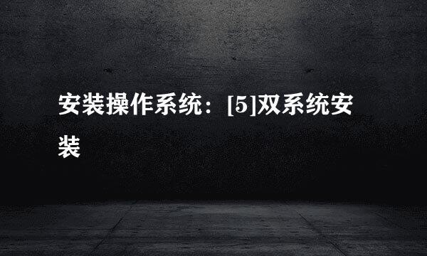安装操作系统：[5]双系统安装