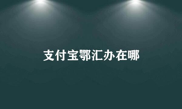 支付宝鄂汇办在哪