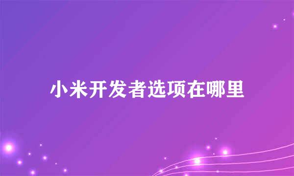 小米开发者选项在哪里