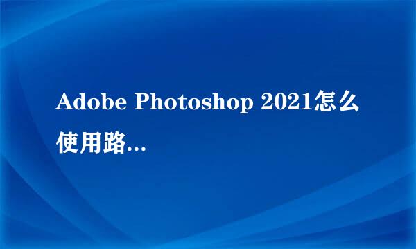 Adobe Photoshop 2021怎么使用路径选择工具