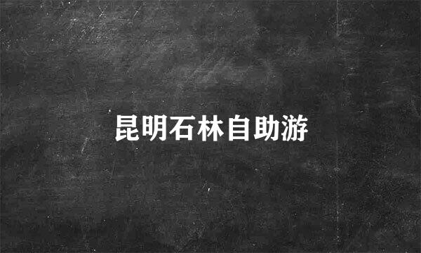 昆明石林自助游