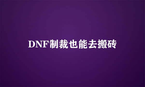 DNF制裁也能去搬砖