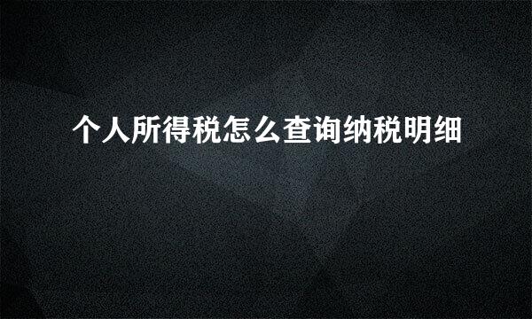 个人所得税怎么查询纳税明细