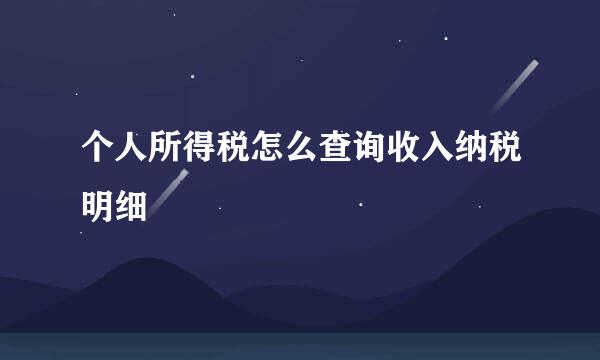 个人所得税怎么查询收入纳税明细