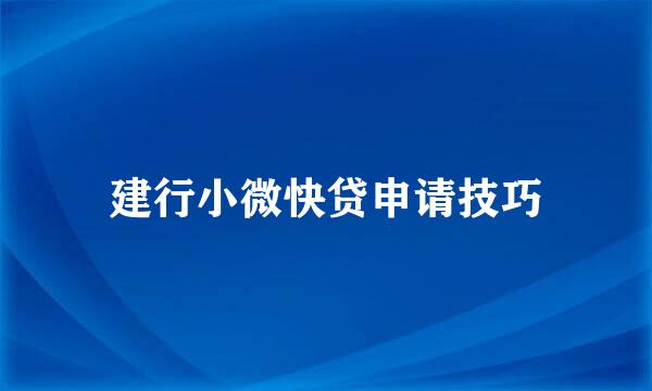 建行小微快贷申请技巧