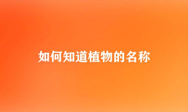 如何知道植物的名称