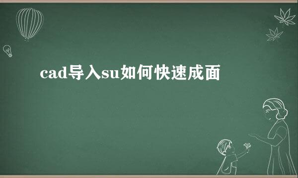 cad导入su如何快速成面