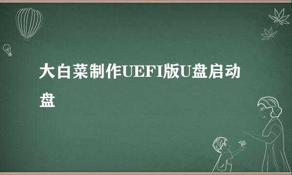 大白菜制作UEFI版U盘启动盘