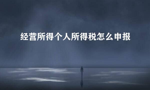 经营所得个人所得税怎么申报