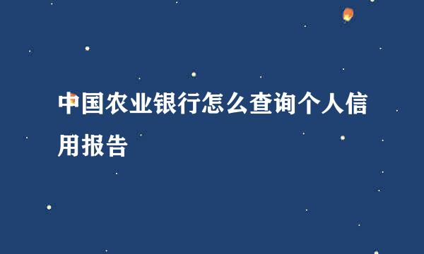 中国农业银行怎么查询个人信用报告