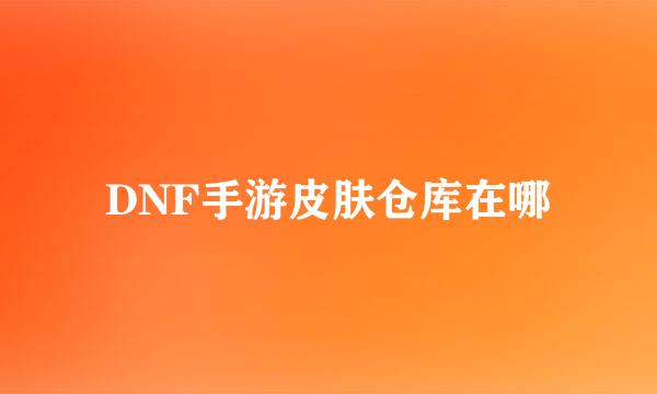 DNF手游皮肤仓库在哪