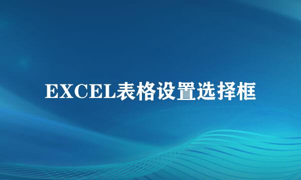 EXCEL表格设置选择框