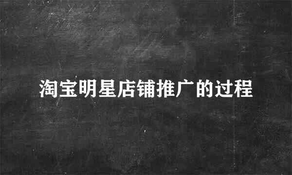 淘宝明星店铺推广的过程