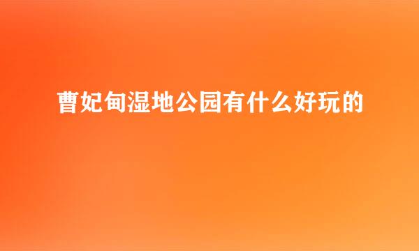 曹妃甸湿地公园有什么好玩的