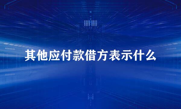 其他应付款借方表示什么