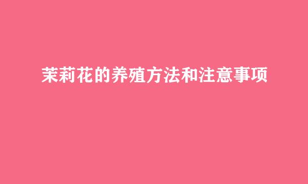 茉莉花的养殖方法和注意事项
